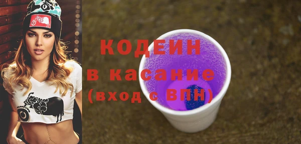 хмурый Магас