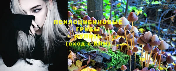 молекула духа Лиски