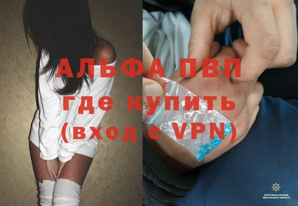 хмурый Магас