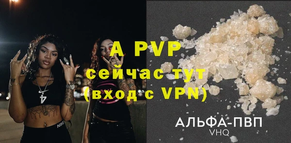 apvp Горняк