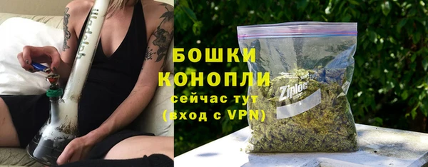 хмурый Магас